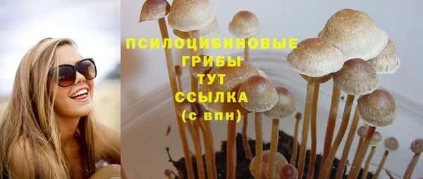 не бодяженный Абаза