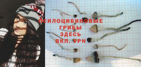 не бодяженный Абаза