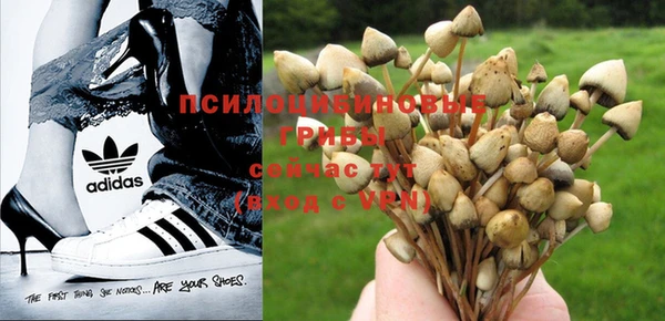 хмурый Ростов