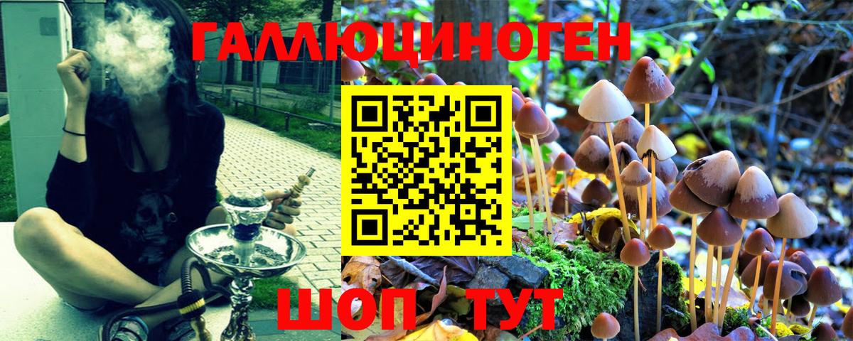 Псилоцибиновые грибы Psilocybine cubensis  Вход с VPN  Балахна  Галлюциногенные грибы Psilocybe 